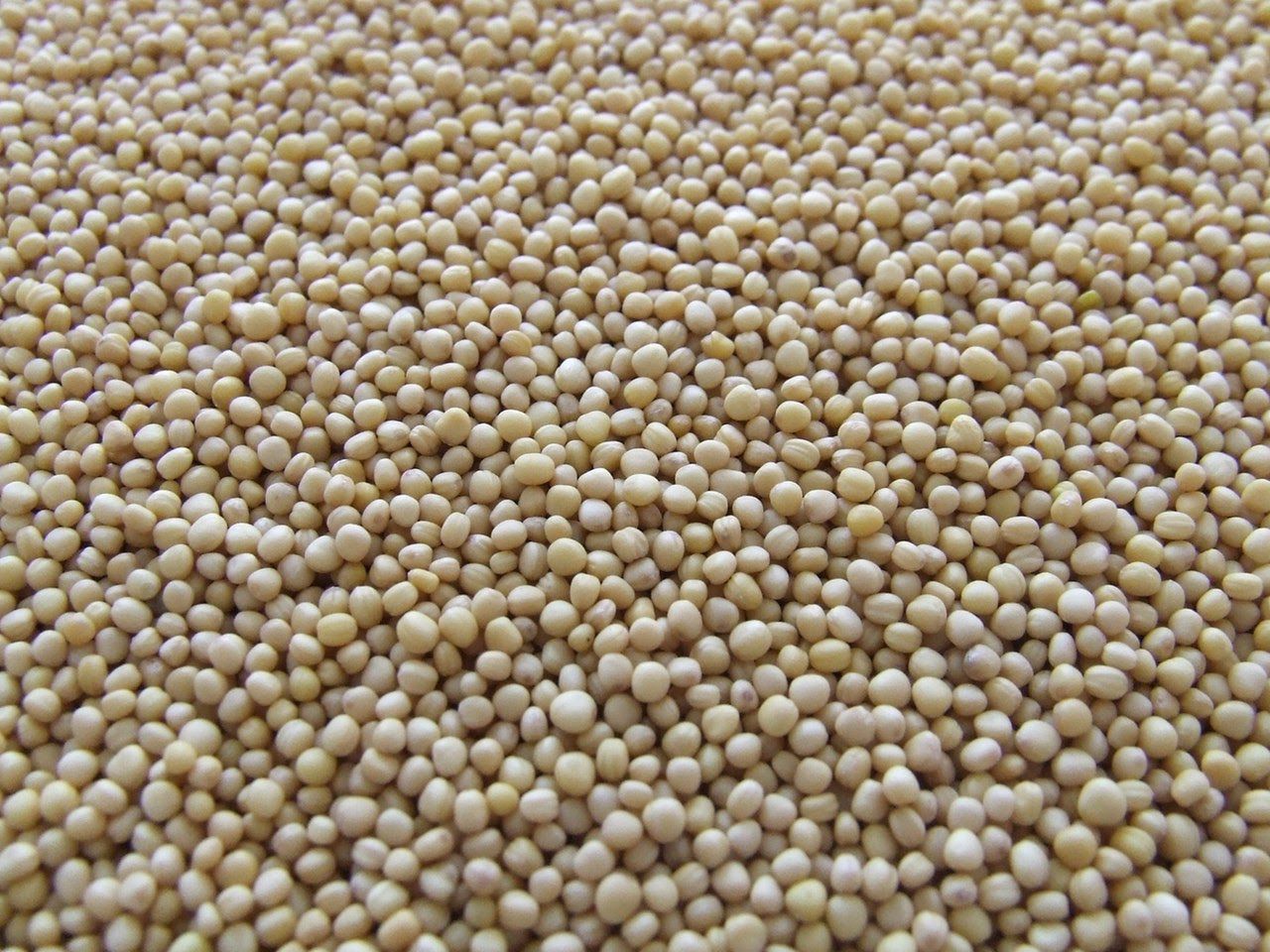 Is Soylent Healthy and can it Help you Lose Weight?
